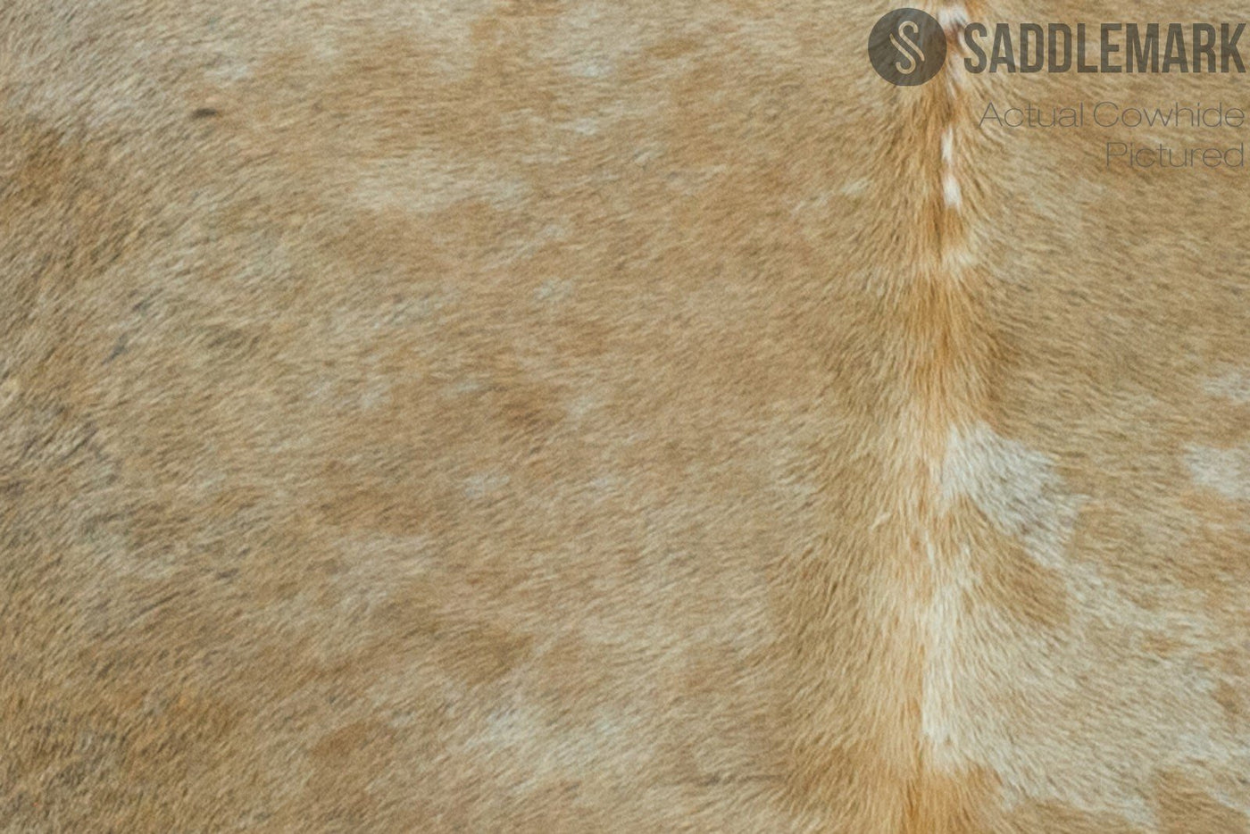 Palomino Brazilian Large Cowhide Rug 6'4" x 6'4" #2288 by Hudson Hides