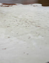 Brown and White Brazilian X-Large Cowhide Rug 6'8" x 6'5" #2372 by Hudson Hides