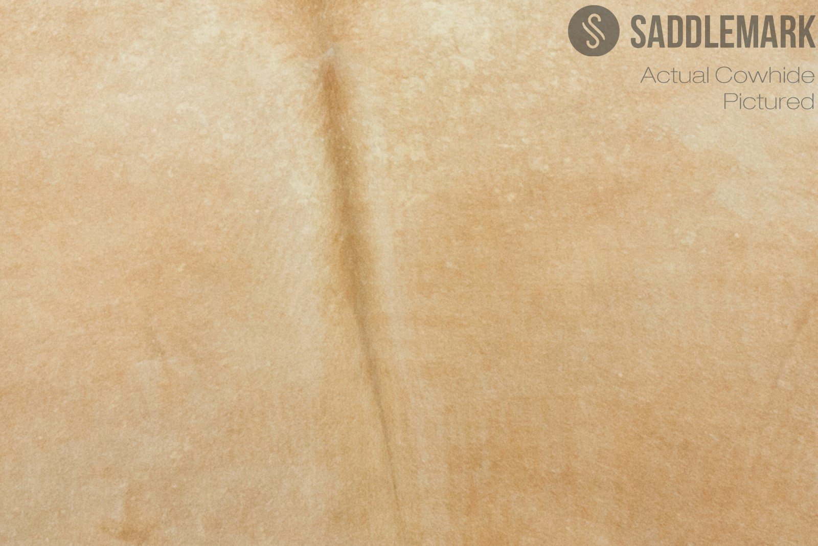 Palomino Brazilian Small Cowhide Rug 4'6" x 4'5" #2639 by Hudson Hides