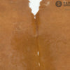 Brown and White Brazilian Small Cowhide Rug 5' x 4'9" #2727 by Hudson Hides